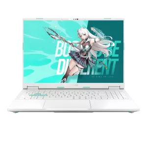 FX608LP