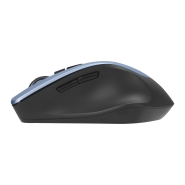 ASUS Wireless Optical Mouse WT425