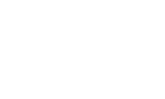 <h3>Windows 11 Pro</h3>