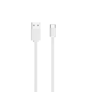 ASUS 18W Adapter & USB-C Cable