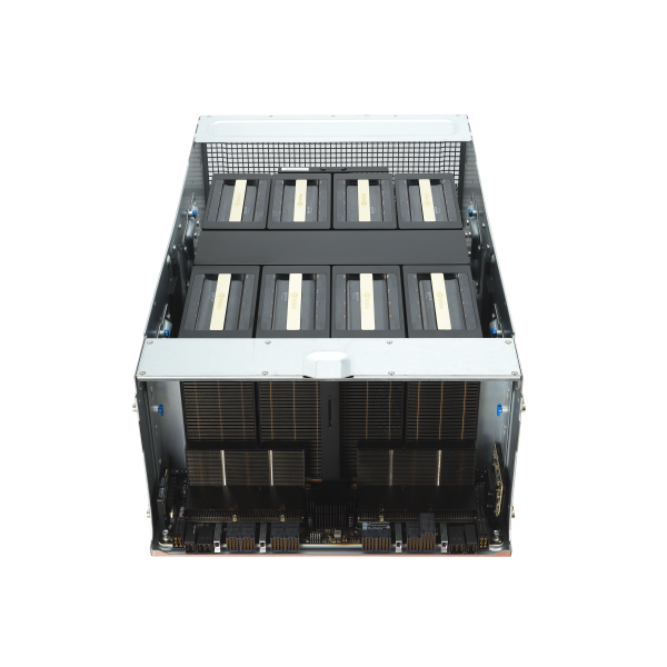 ESC NB8-E11