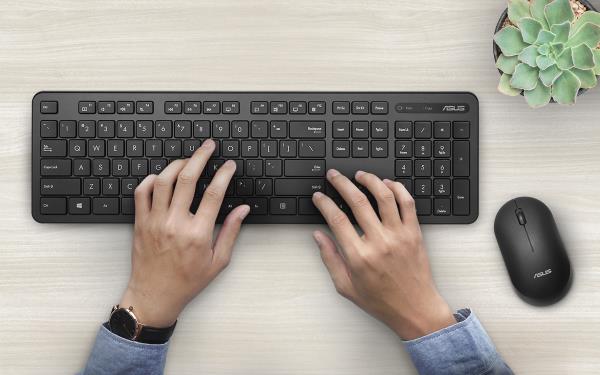 Overhead view of two hands typing on an ASUS keyboard with a mouse and a potted succulent plant on the sides