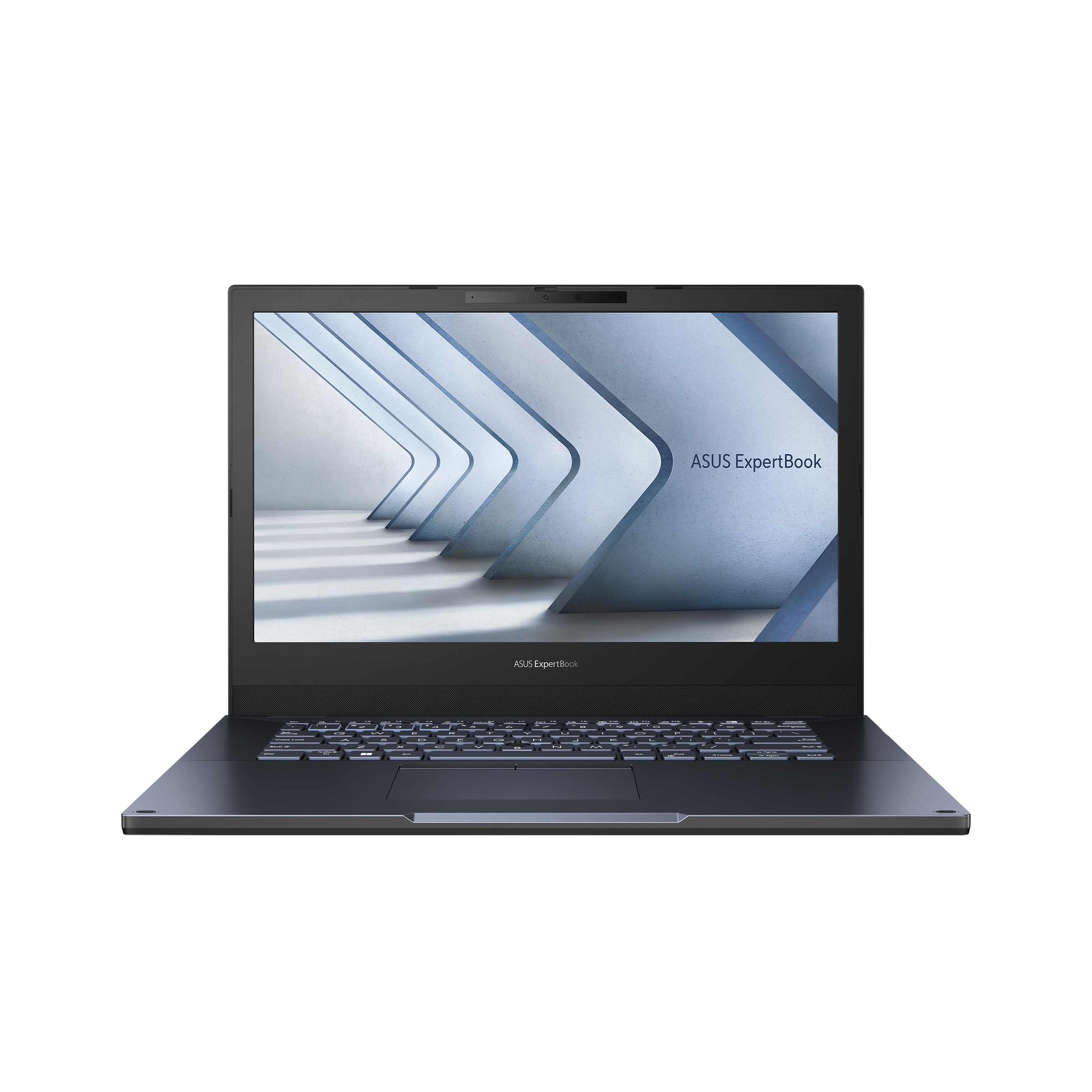 ASUS ExpertBook P2452CVA