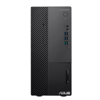ASUS ExpertCenter D9 Mini Tower D900MC
