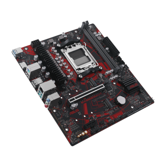 Asus sales expedition motherboard