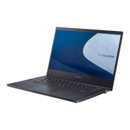 ASUS ExpertBook P2