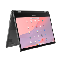 ASUS Chromebook CM14 Flip (CM1402F)